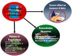 Environmental Impact: Monitoring and Regulation