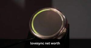 lovesync net worth